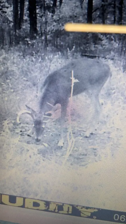Picture 27