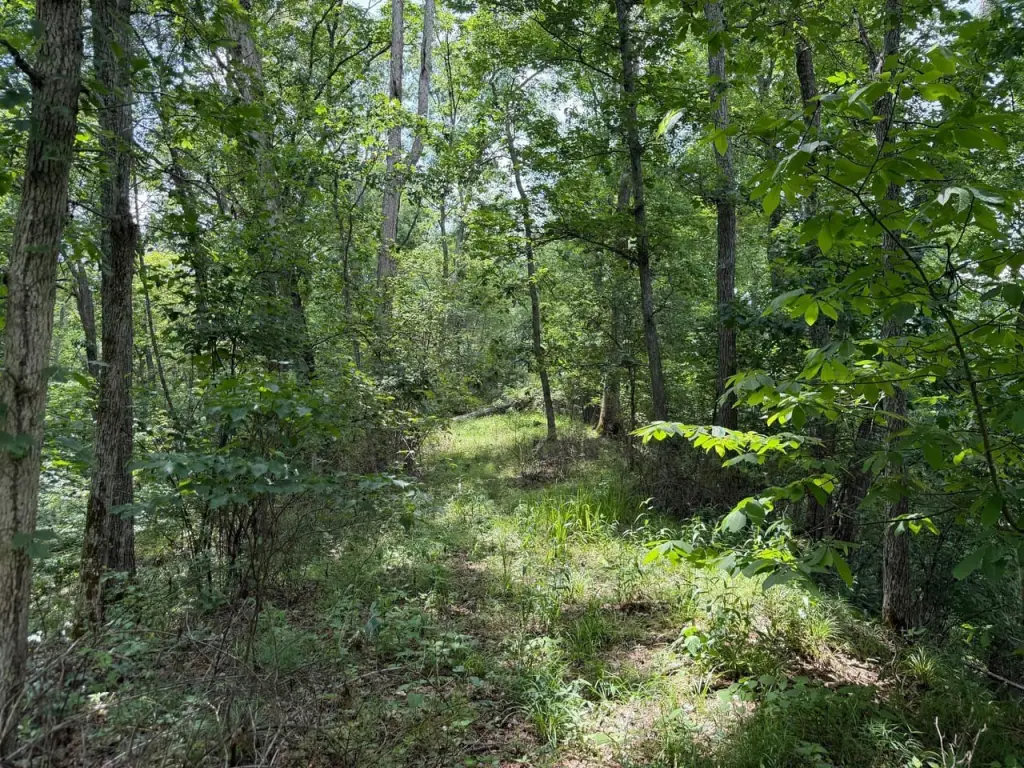 Picture 18