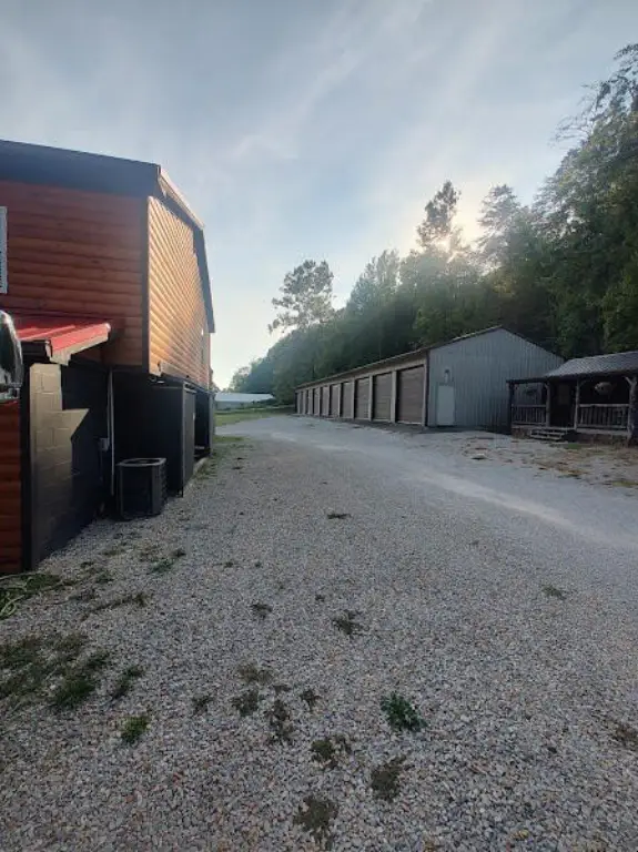 Picture 5