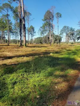 Residential Land in Ponchatoula, LA