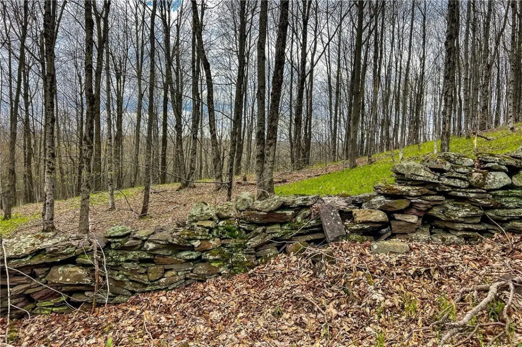 Picture 25