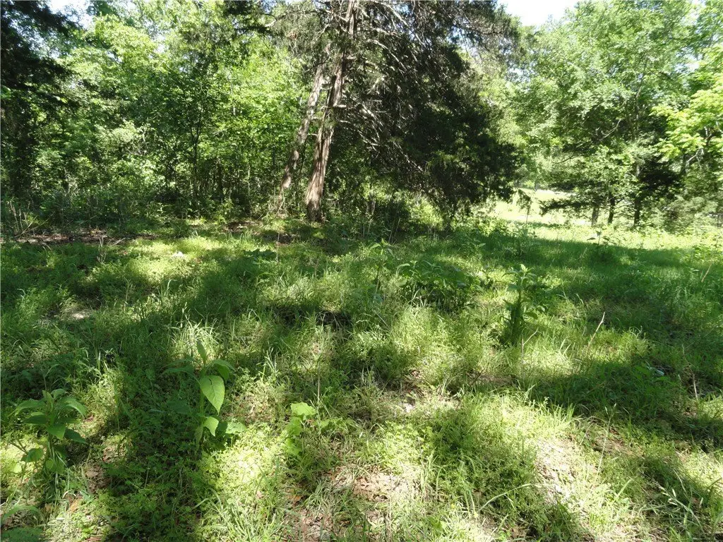 Picture 17