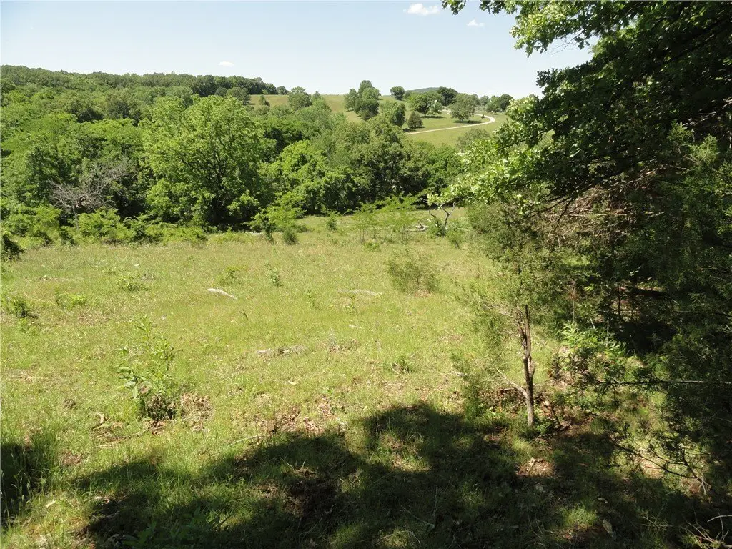 Picture 15