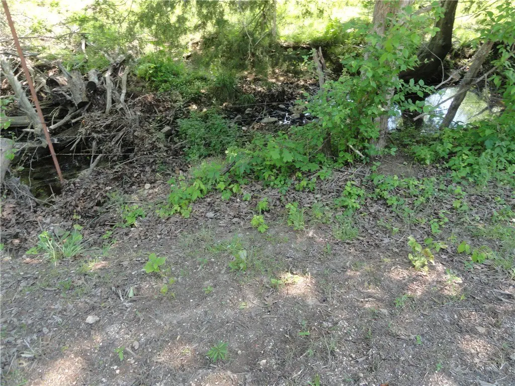 Picture 18