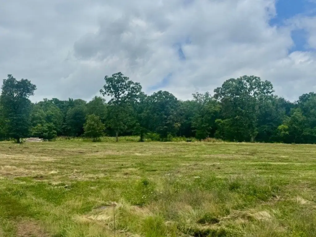 Picture 24