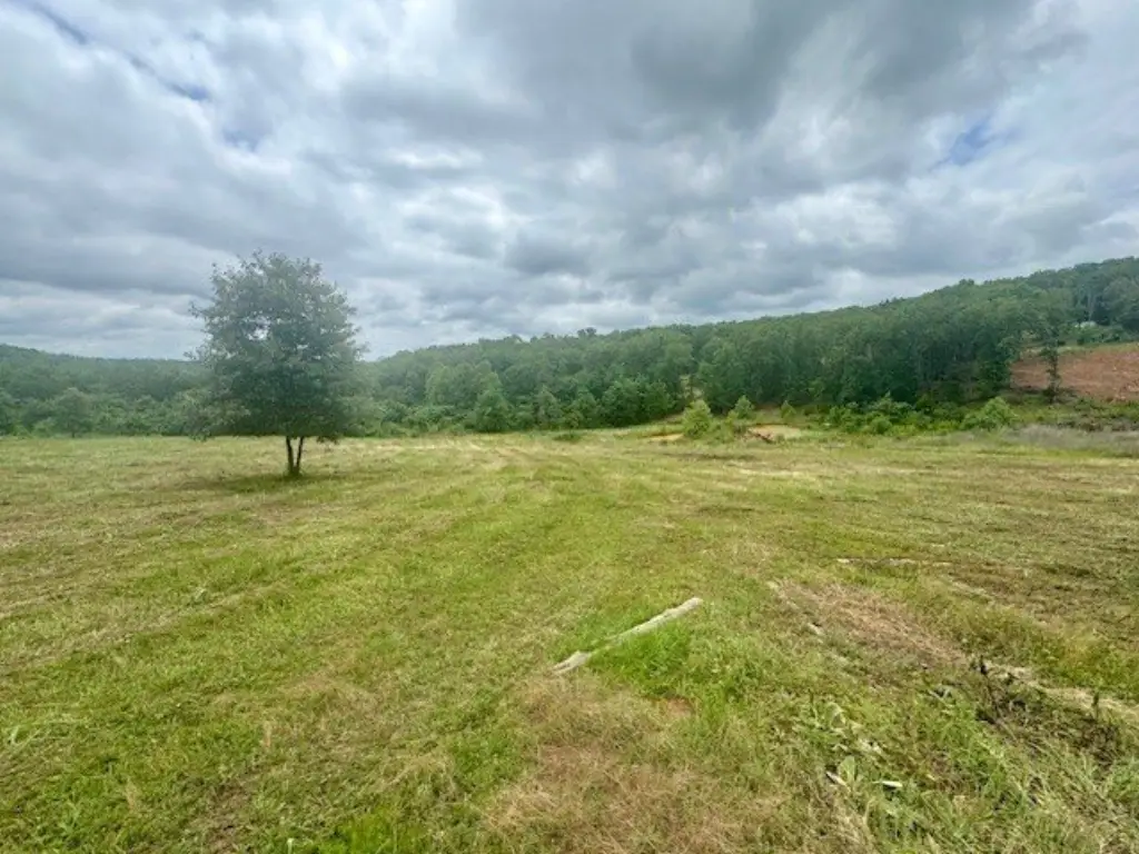 Picture 6