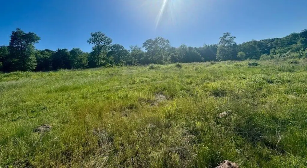 Picture 14