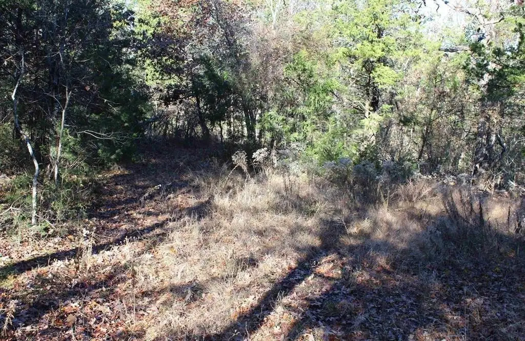 Picture 10