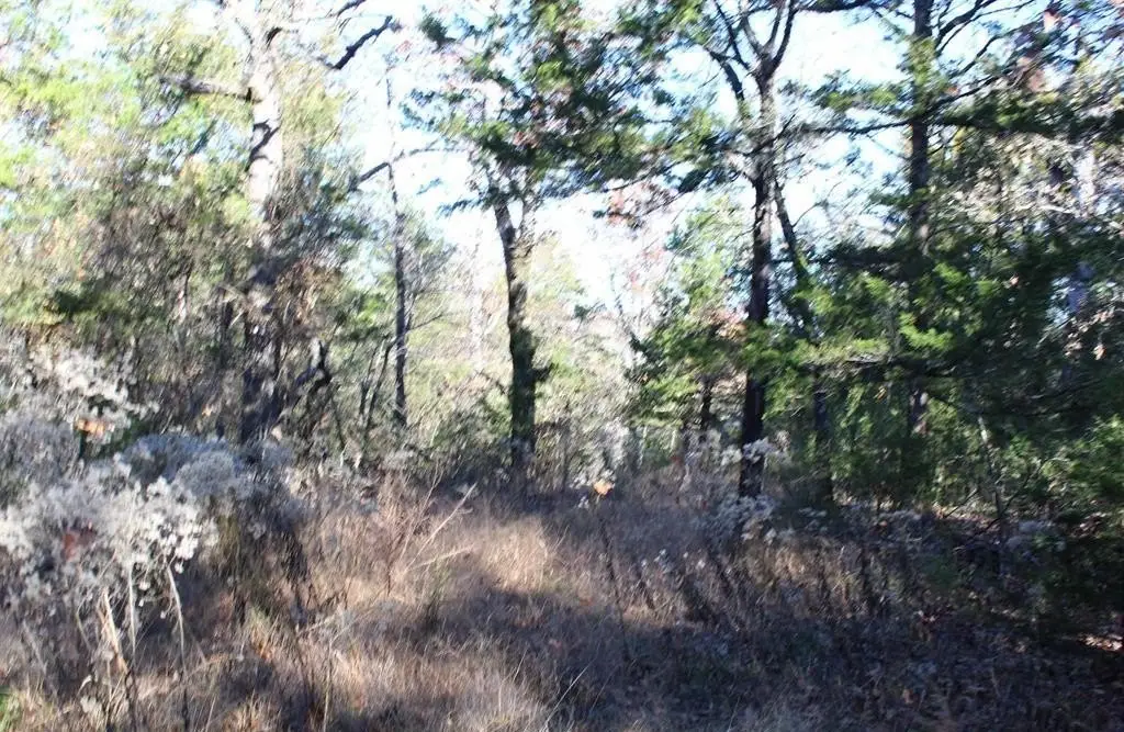 Picture 8