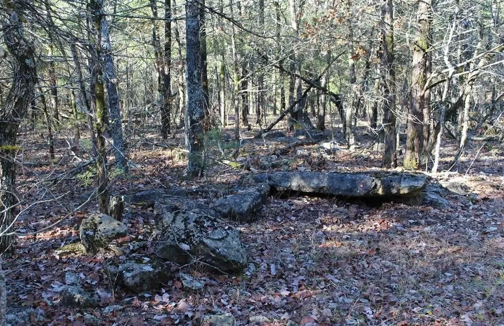 Picture 6
