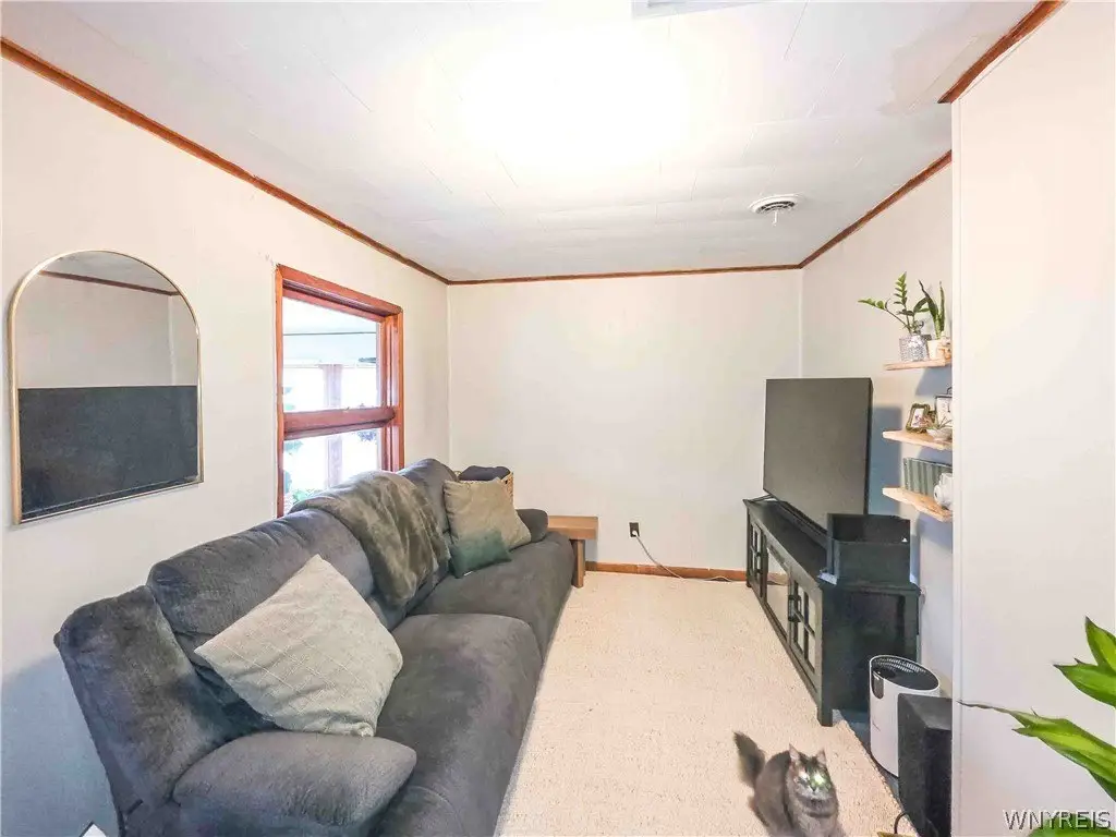 Picture 6