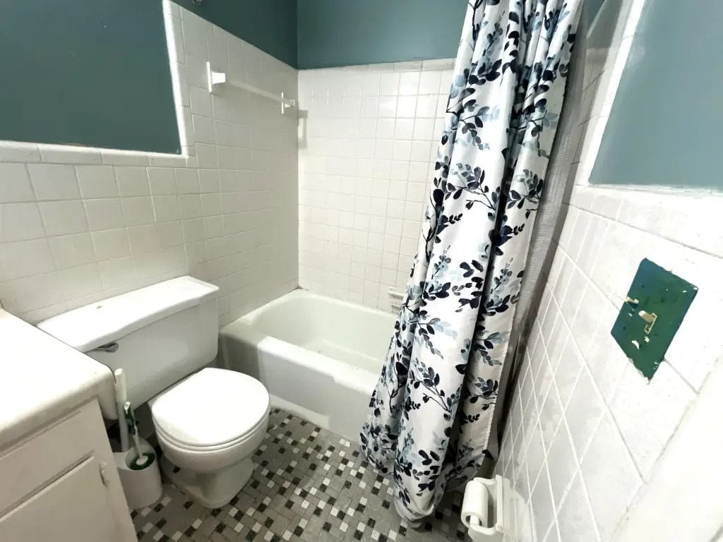 Picture 11