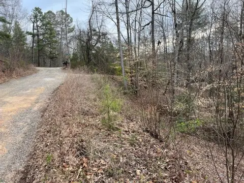 Wooded Lot in Murphy, NC