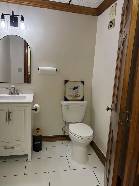 Picture 6