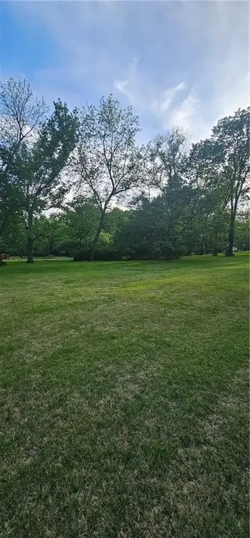 Picture 3