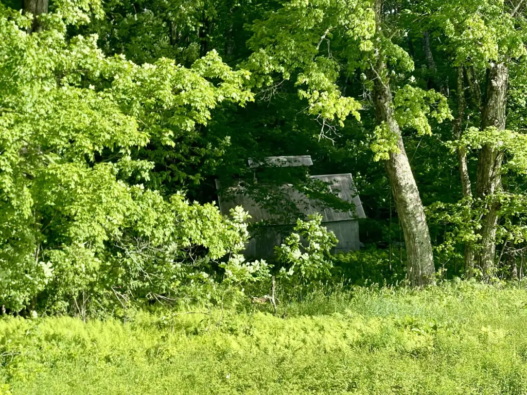 Picture 9
