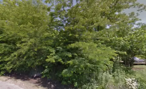 Residential Lot in Dermott, AR