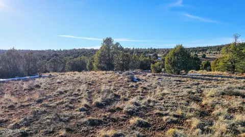 Expansive Land in Clay Springs