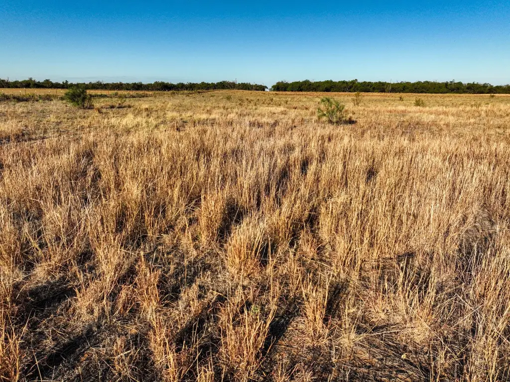 Picture 26
