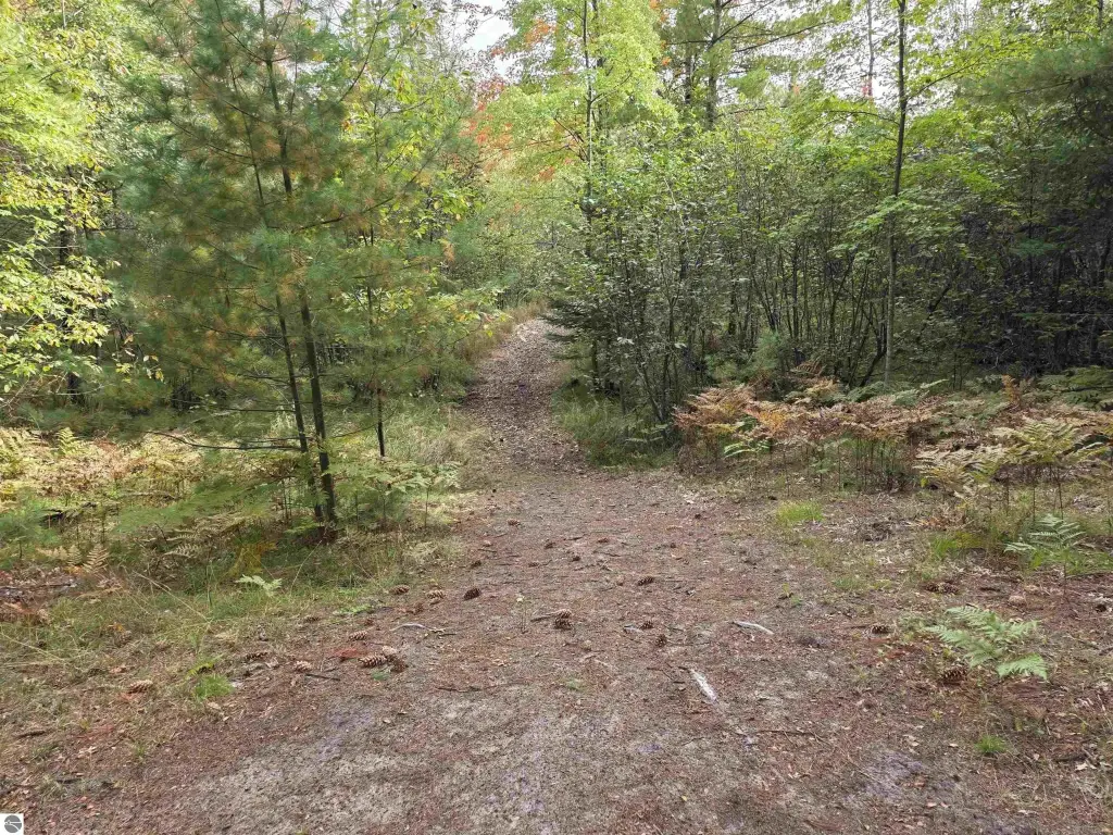 Picture 22