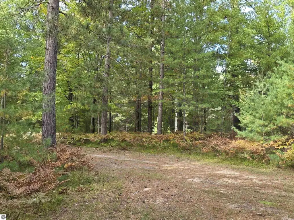 Picture 9