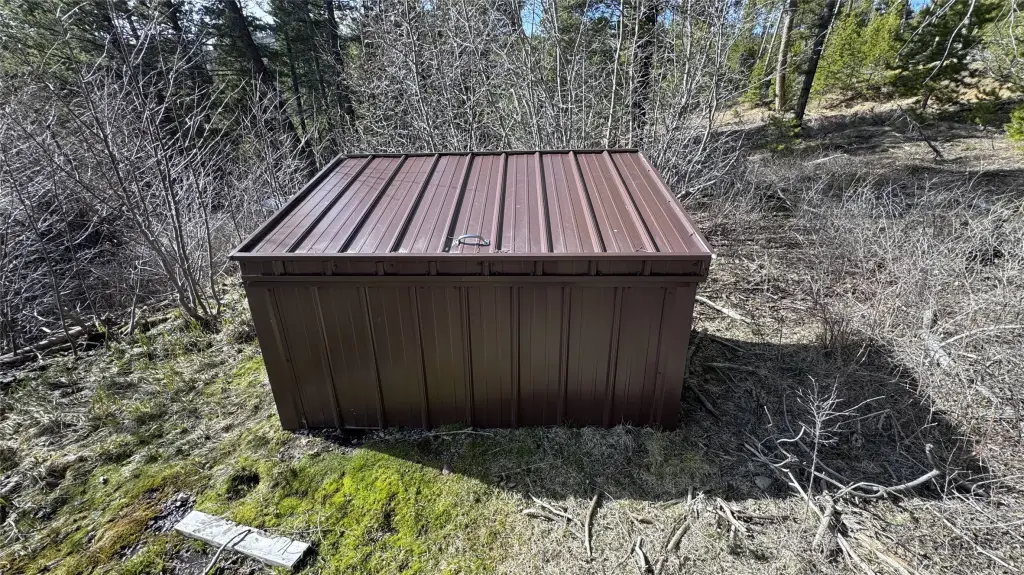 Picture 6
