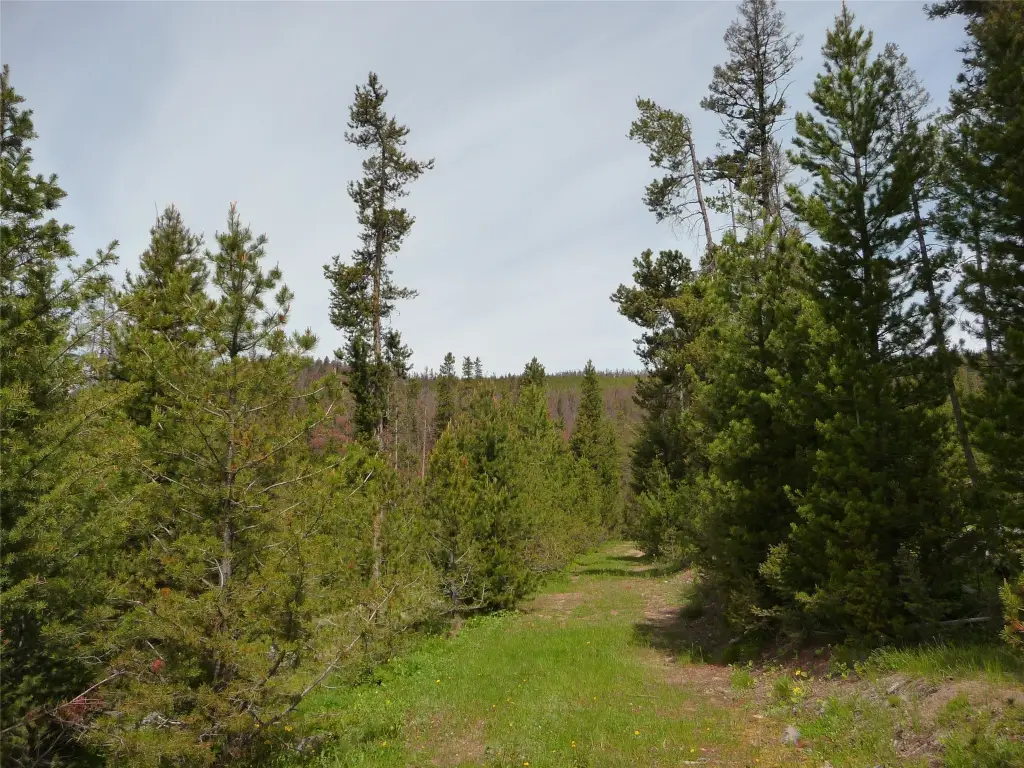 Picture 14
