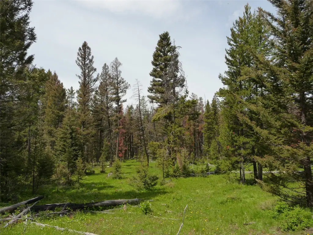 Picture 22