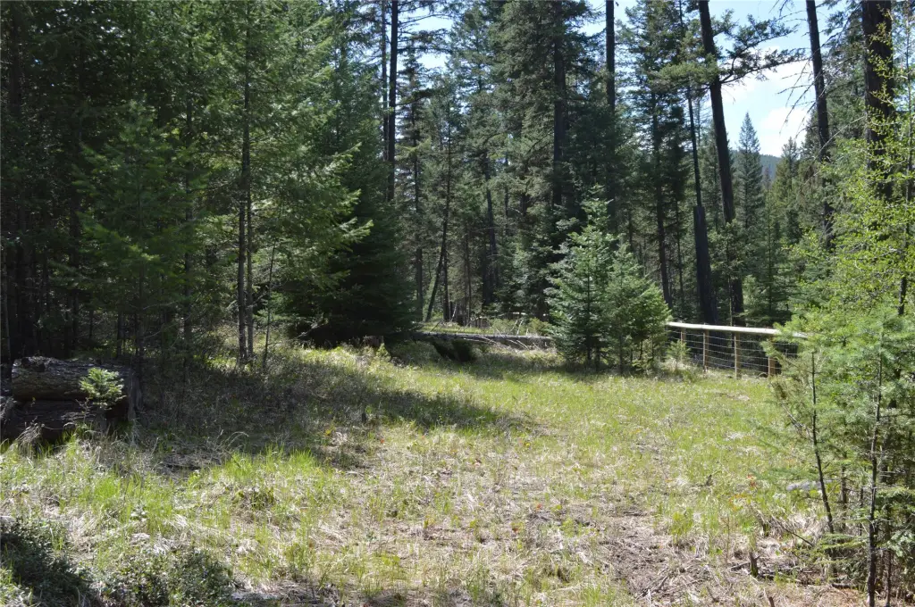 Picture 7