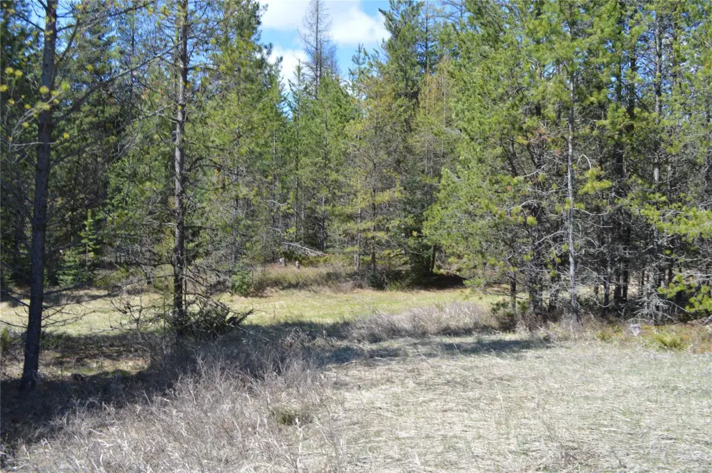 Picture 12