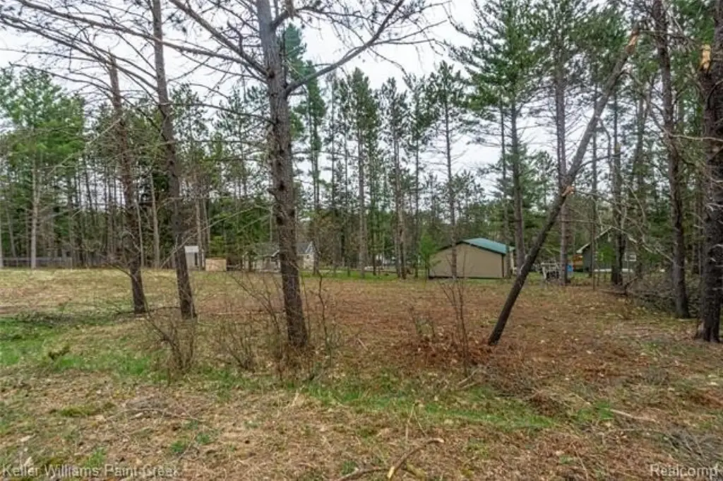 Picture 5