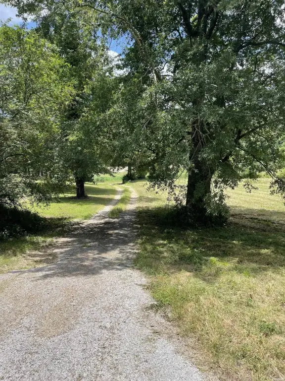 Picture 15