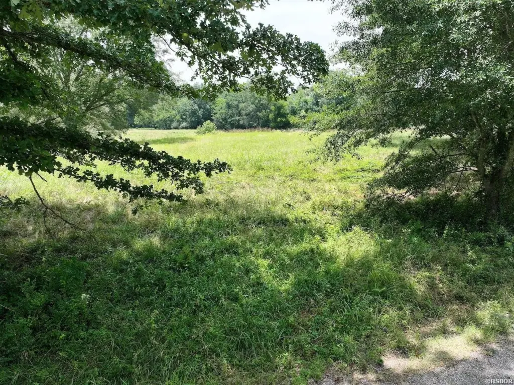 Picture 33