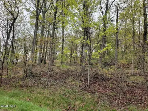Wooded Homesite in Altoona, PA