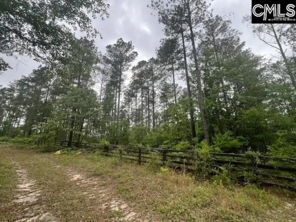 Picture 20