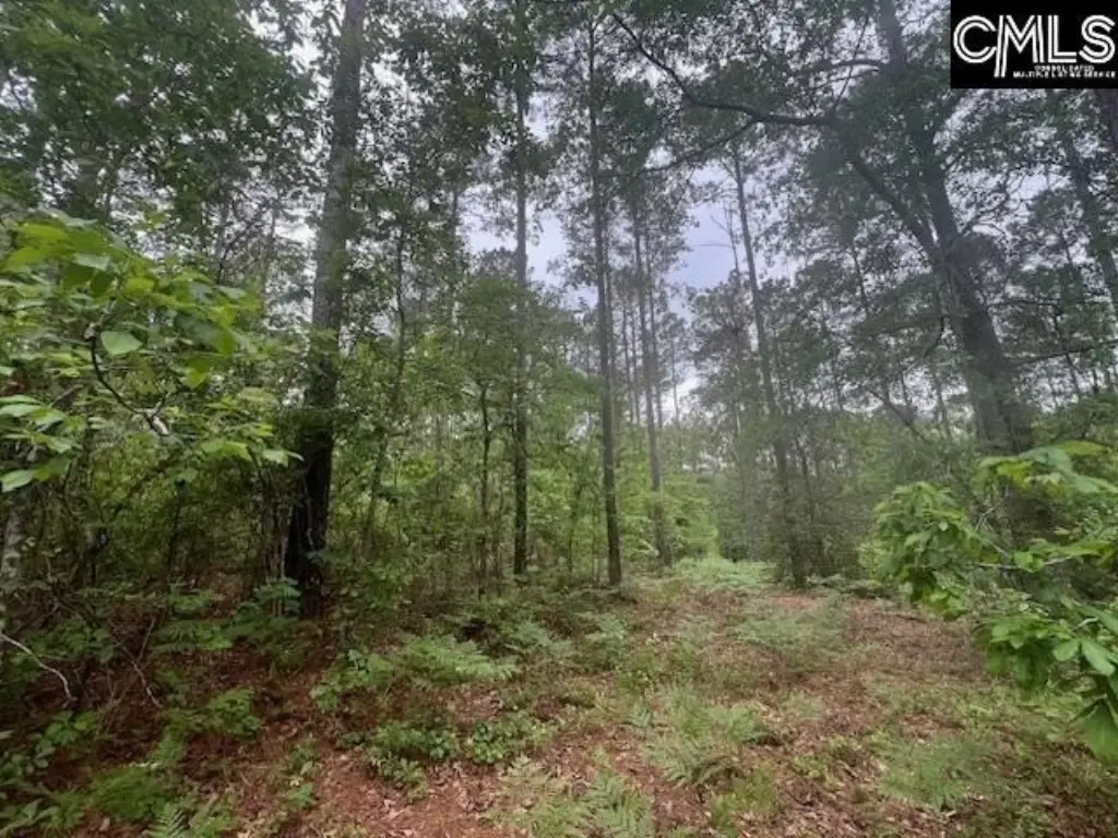 Picture 56