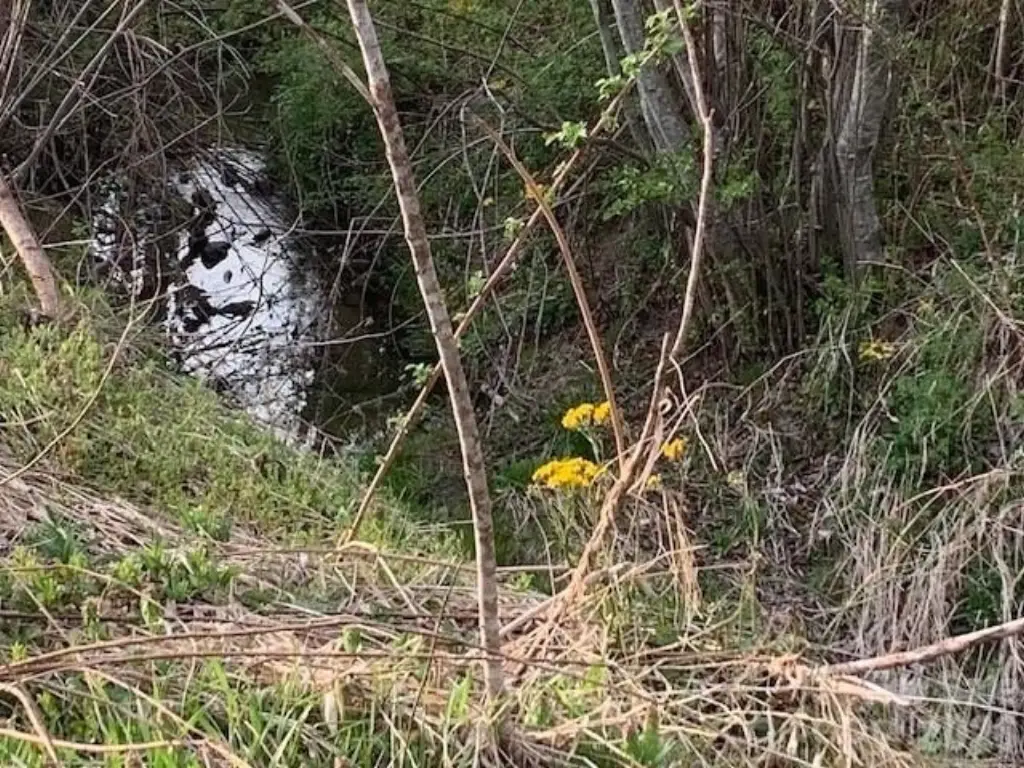 Picture 6