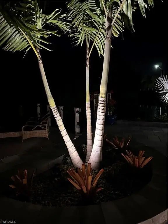 Picture 21