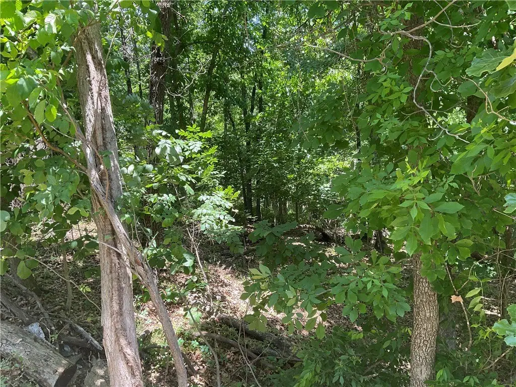 Picture 4