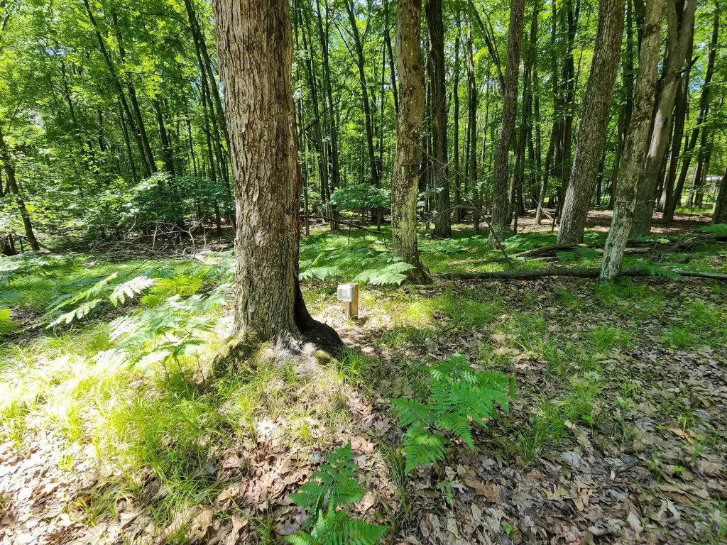Picture 6