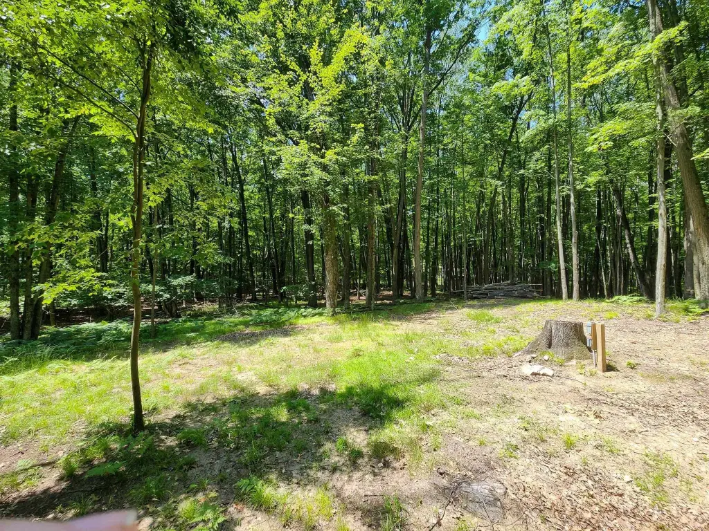 Picture 22