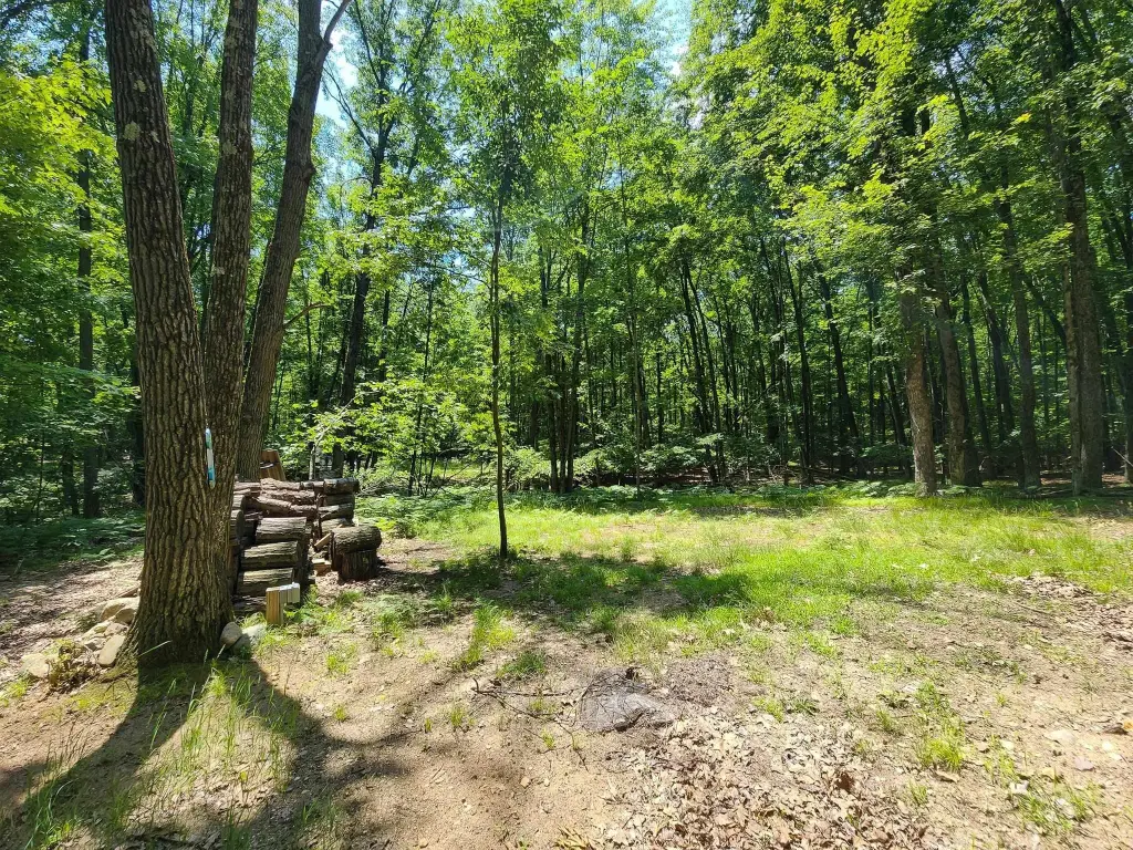 Picture 30