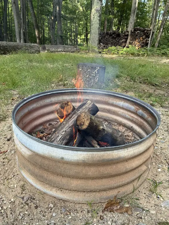 Picture 17