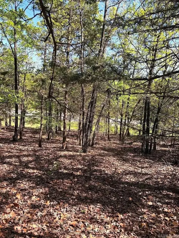 Picture 3