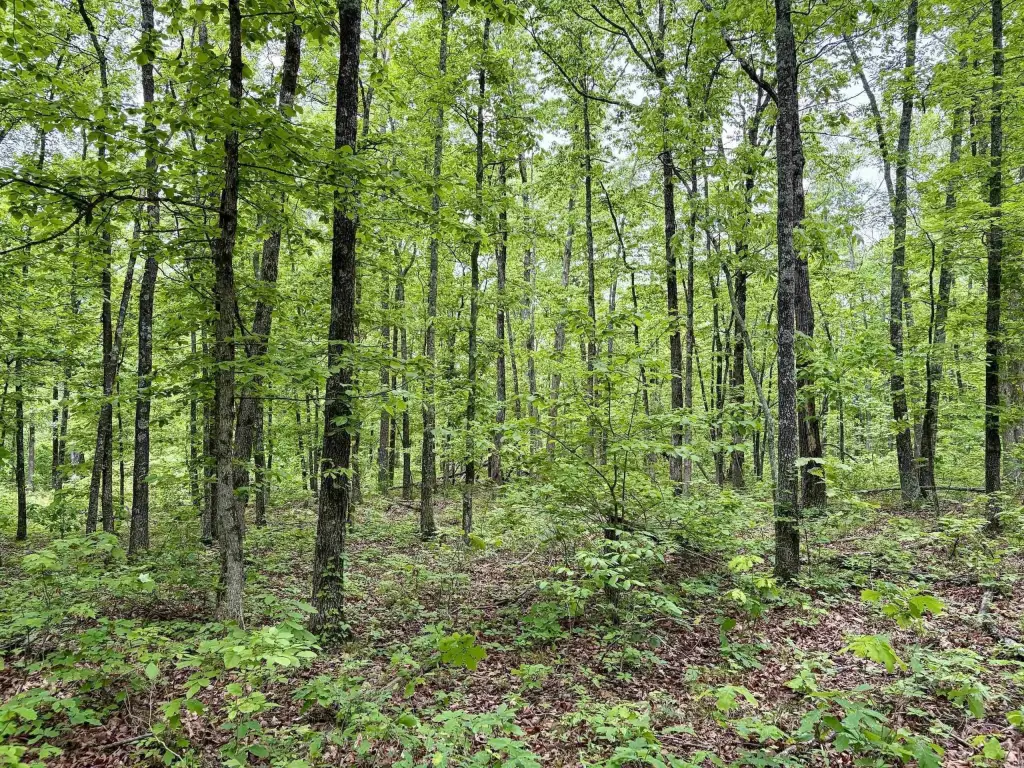 Picture 22