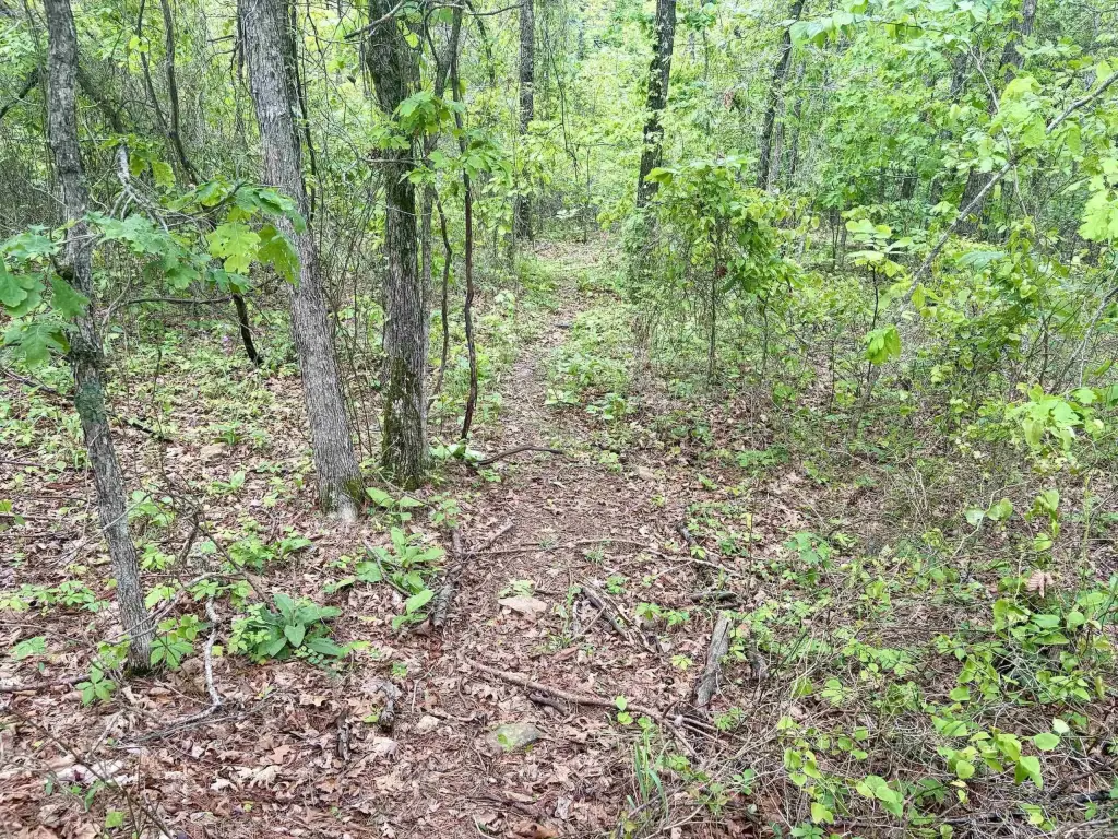 Picture 26