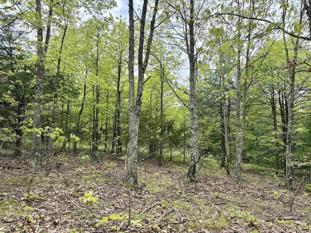 Picture 30