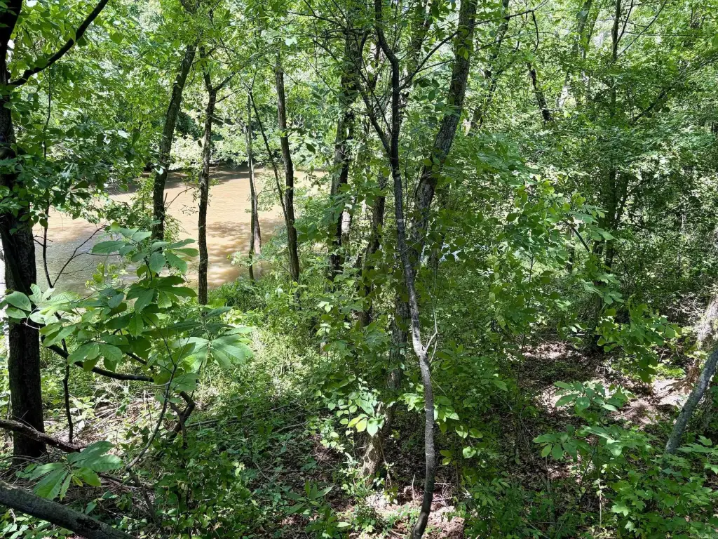 Picture 38