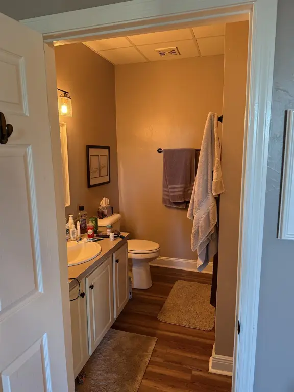Picture 29