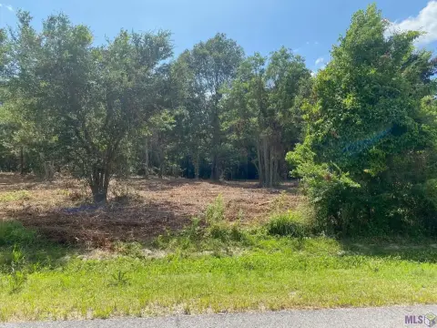 Prairieville Land Parcel For Sale